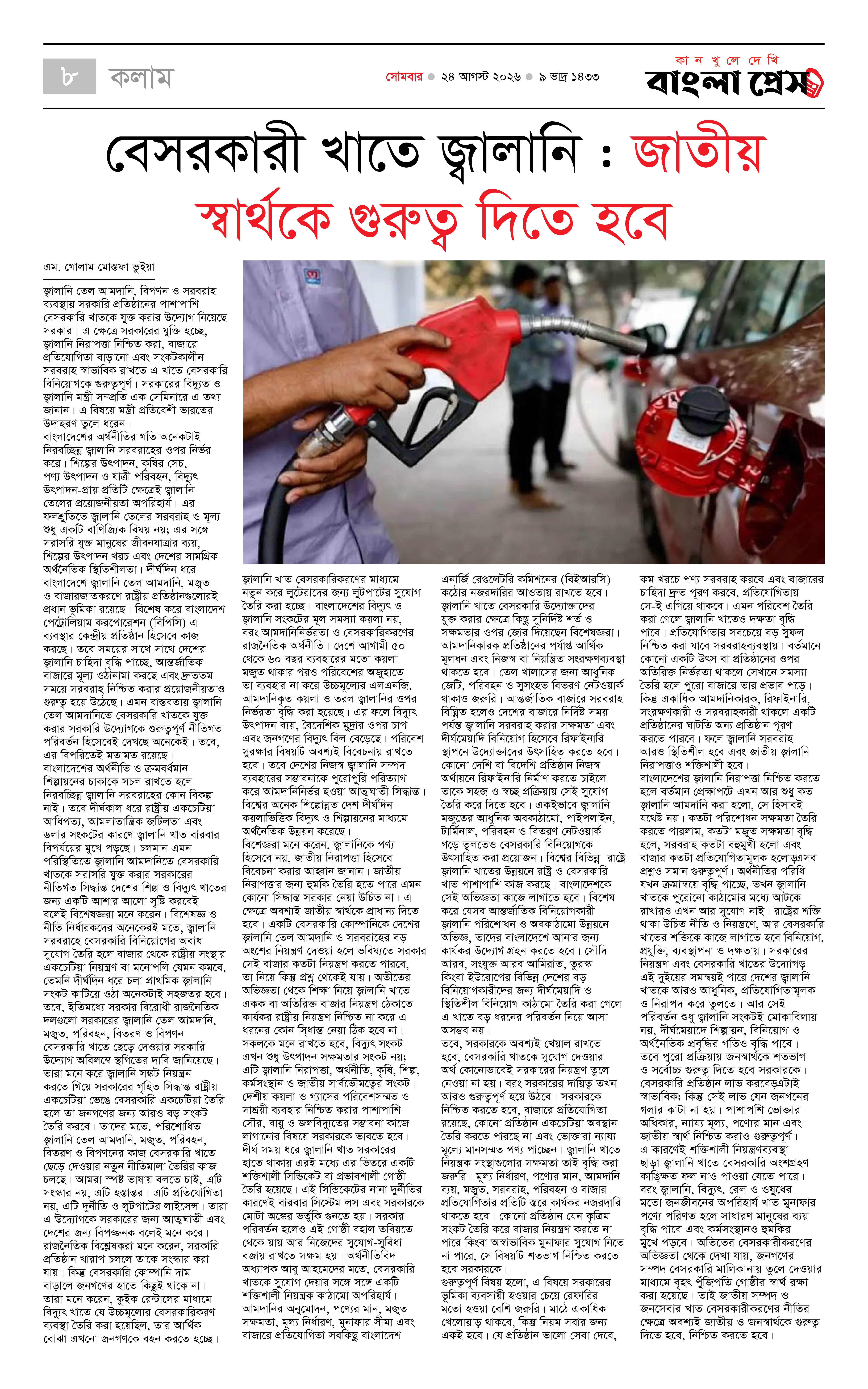 পাতা 8