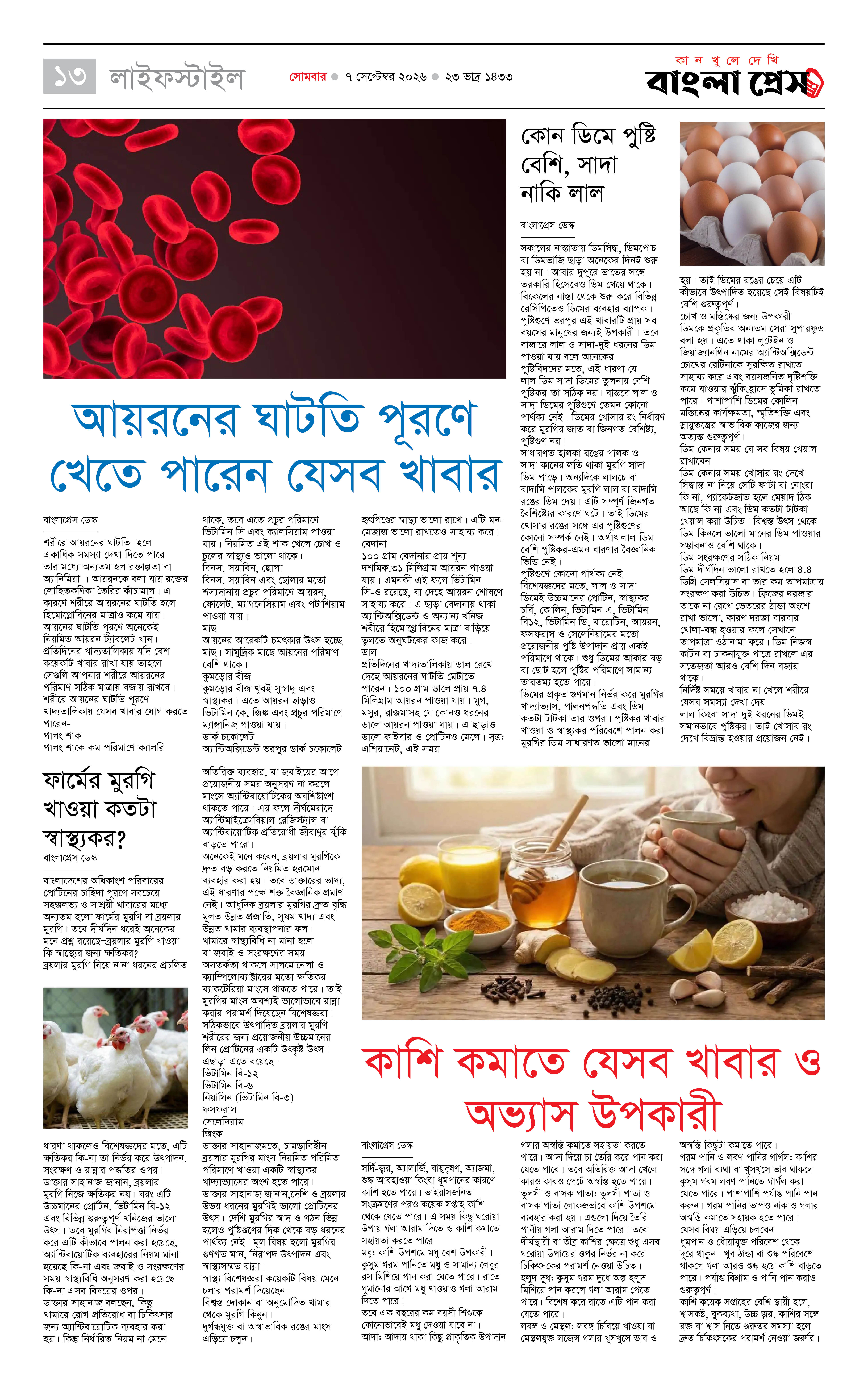 পাতা 13