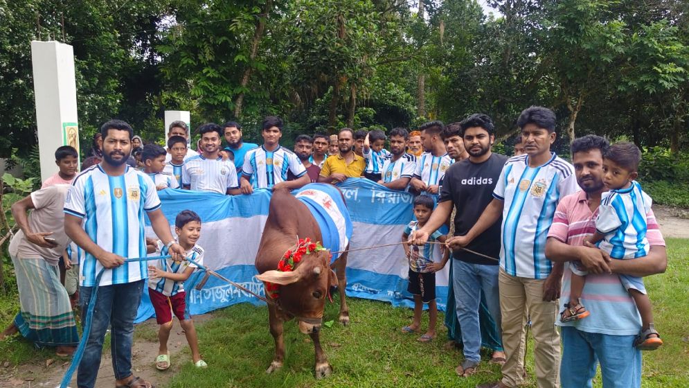 ফাইনালে আর্জেন্টিনা, সমর্থকদের আয়োজনে গরু জবাই করে ভূরিভোজ