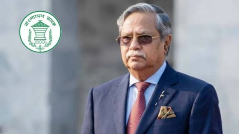সাহাবুদ্দিনের বিরুদ্ধে আলাদা কোনো তদন্ত করবে না বাংলাদেশ ব্যাংক
