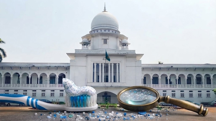 টুথপেস্টে মাইক্রোপ্লাস্টিক : হাইকোর্টে তদন্ত প্রতিবেদন দাখিলের নির্দেশ