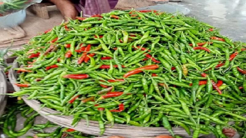 বাজারে কাঁচা মরিচের দাম ৪০০ টাকা