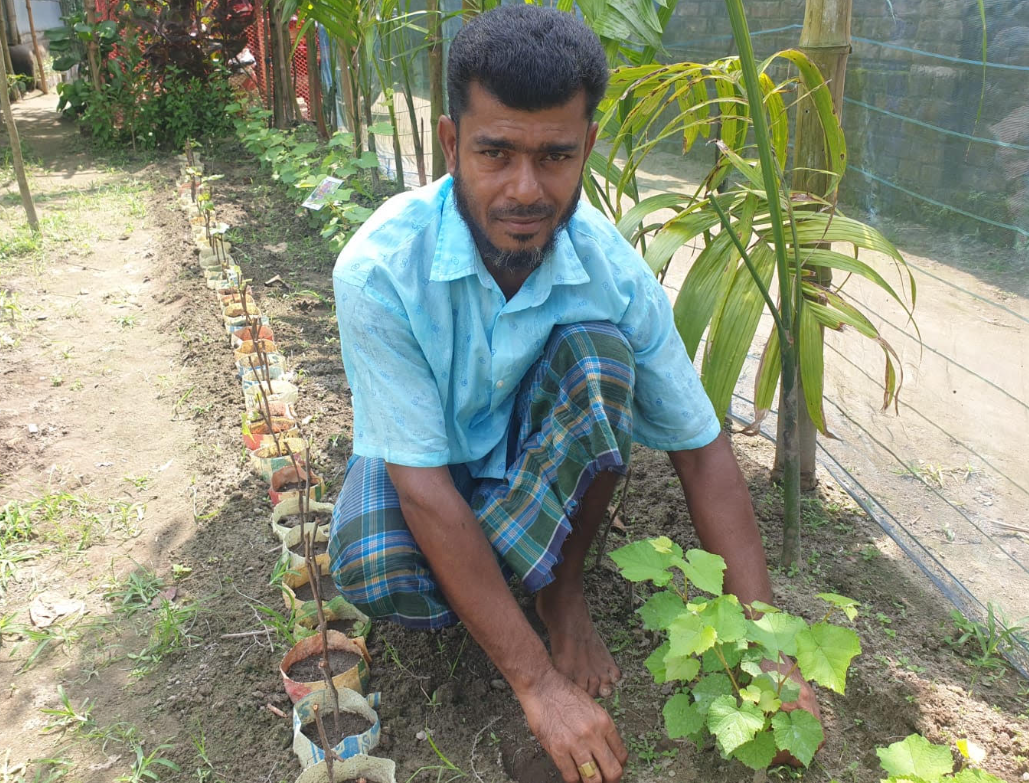 রুহিয়ায় আঙুরের চারা উৎপাদনে সফল উদ্যোক্তা জুয়েল রানা বাড়ছে চাষিদের আগ্রহ, দূর-দূরান্ত থেকে আসছেন ক্রেতা