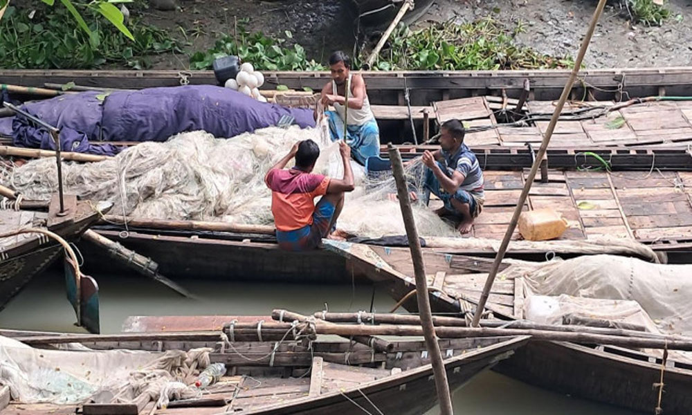 নিষেধাজ্ঞা শেষে চাঁদপুরের পদ্মা-মেঘনায় ইলিশ ধরার প্রস্তুতি