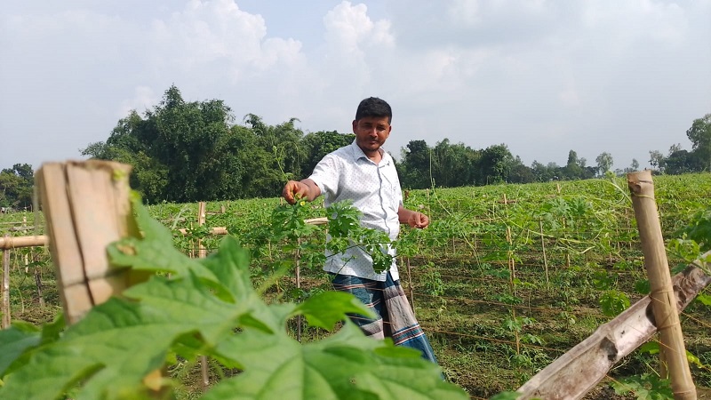 ধান ছেড়ে সবজিতে ভাগ্য ফেরাচ্ছেন রুহিয়ার কৃষক
