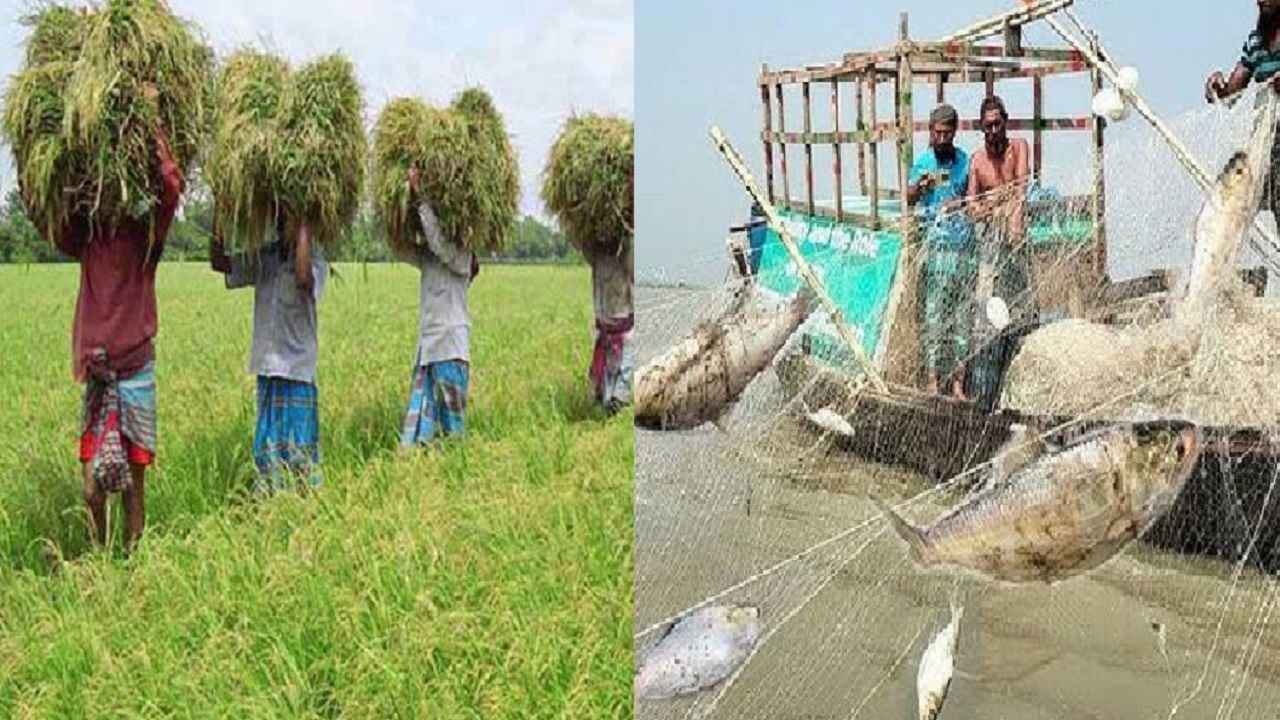 বাংলাদেশ থেকে ১০ হাজার কৃষক ও মৎস্যজীবী নেবে ওমান : পররাষ্ট্র প্রতিমন্ত্রী