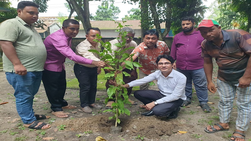 রুহিয়ায় গাছের চারা বিতরণ, অস্থায়ী কার্যালয়ে বৃক্ষরোপণের উদ্বোধন করলেন ইউএনও