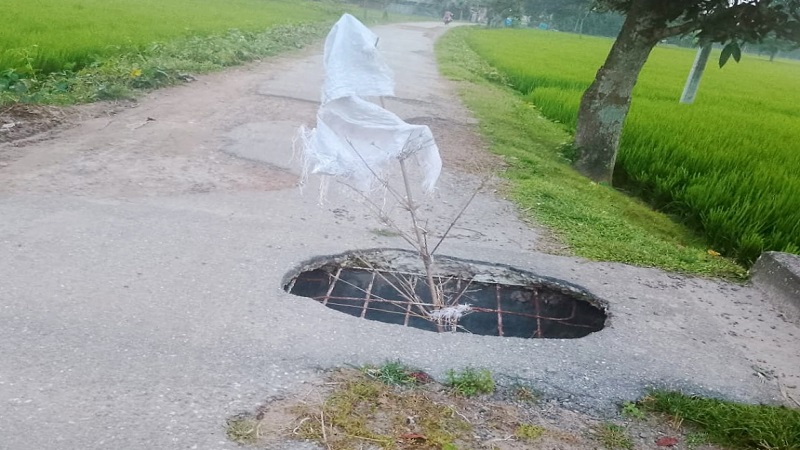 ঢোলারহাট থেকে ব্যারিস্টার স্কুল পর্যন্ত সড়ক বেহাল দশা, চরম দুর্ভোগে এলাকাবাসী