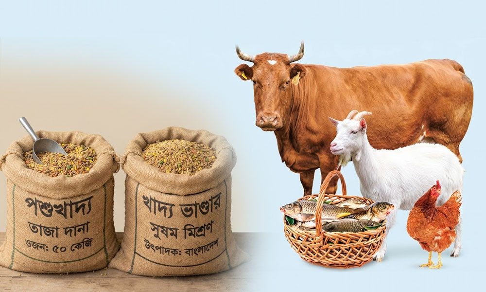 এক মাসেই ৭ শতাংশ বেড়েছে পশুখাদ্যের দাম