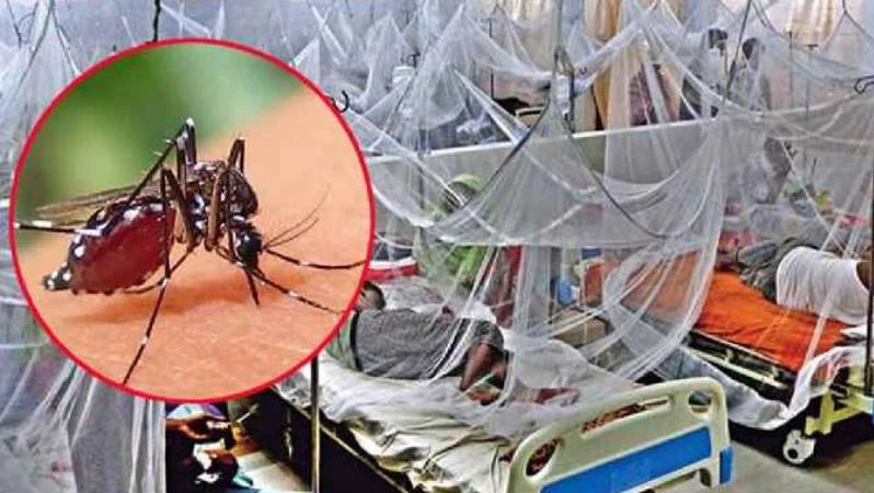 ডেঙ্গুতে আরও ৫ জনের মৃত্যু, হাসপাতালে ভর্তি ১৩৬৬