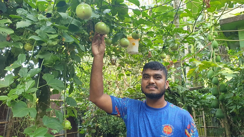 রুহিয়ার মাটিতে বিদেশি ফল আনারকলি চাষে সফল তরুণ উদ্যোক্তা রিমুন