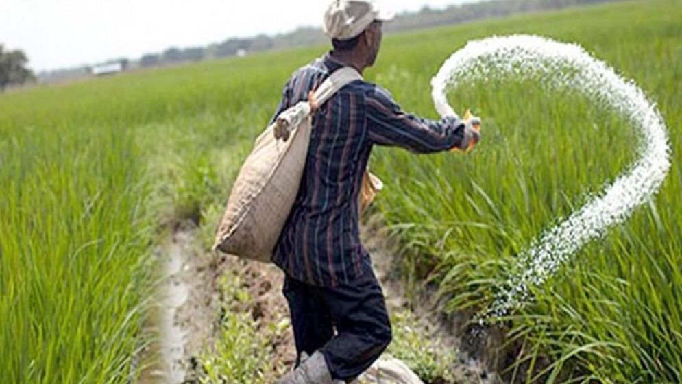 দুই লাখ ২০ হাজার টন সার কিনবে সরকার