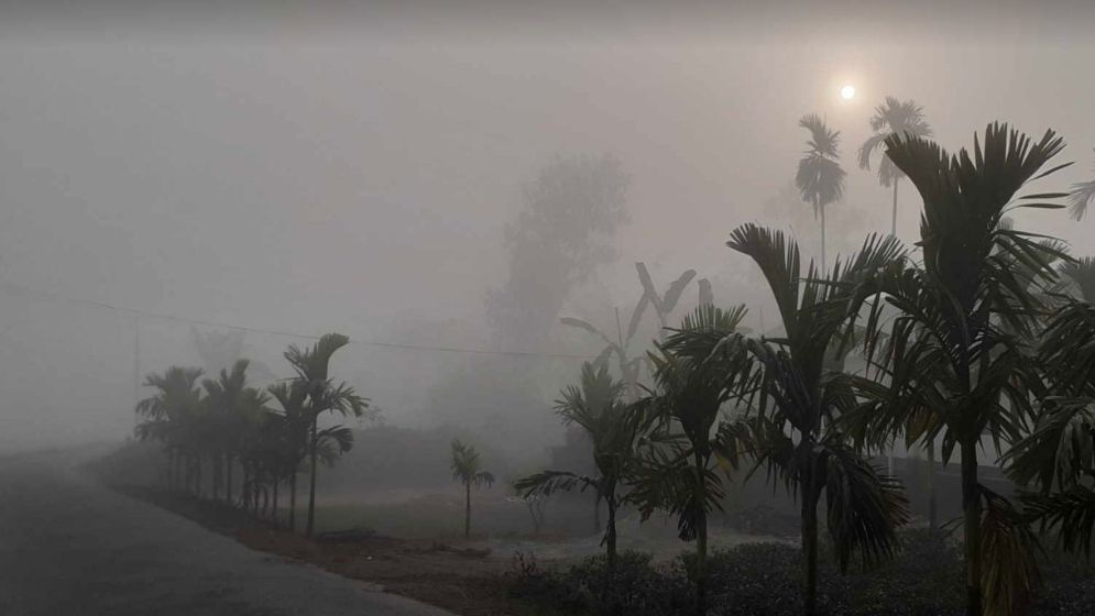 তেঁতুলিয়ায় সর্বনিম্ন তাপমাত্রা, চলতি মাসেই আসছে শৈত্যপ্রবাহ