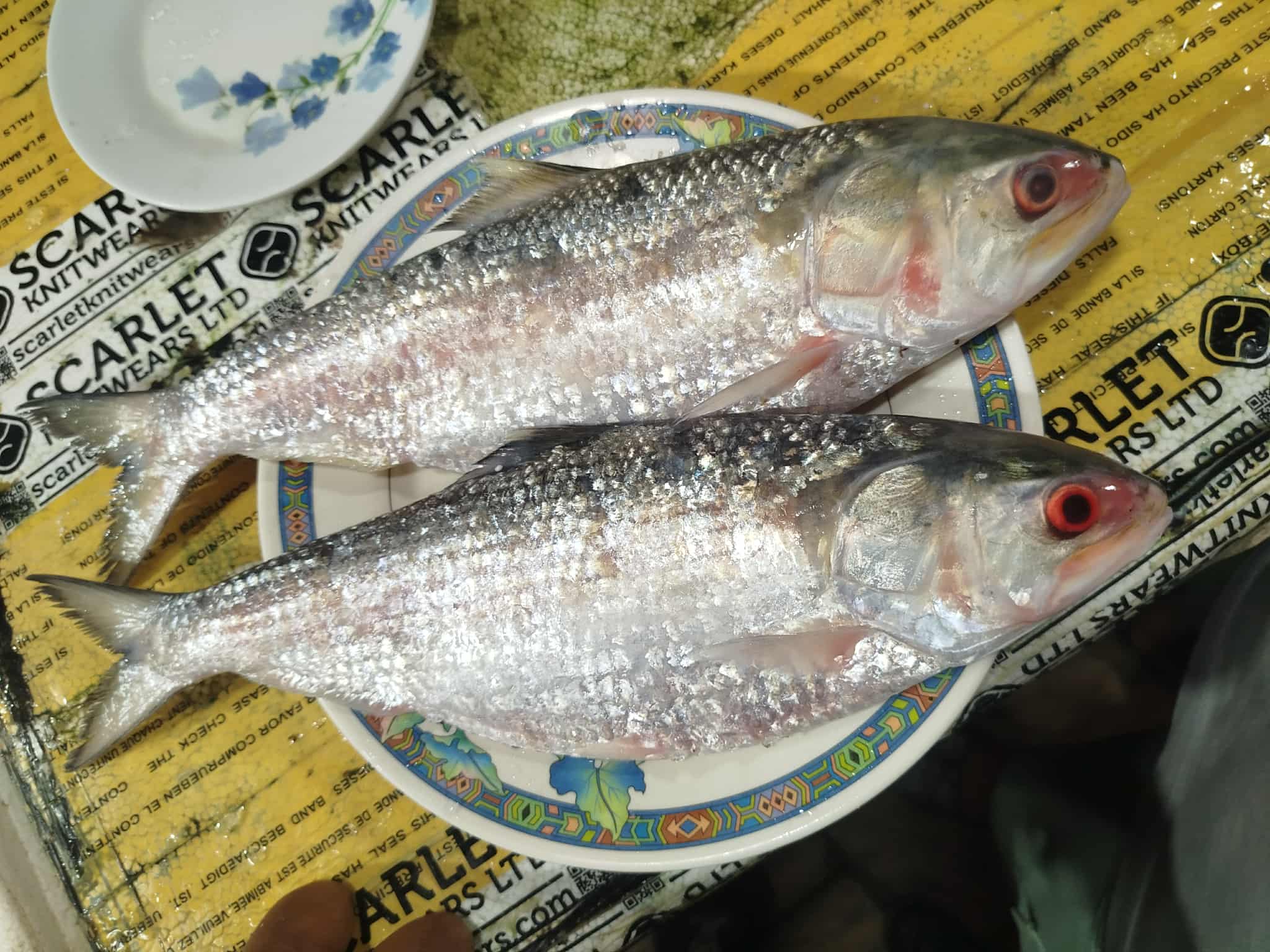 মাছ শিকারে ২২ দিনের নিষেধাজ্ঞা শুরু, পর্যবেক্ষণে ড্রোন