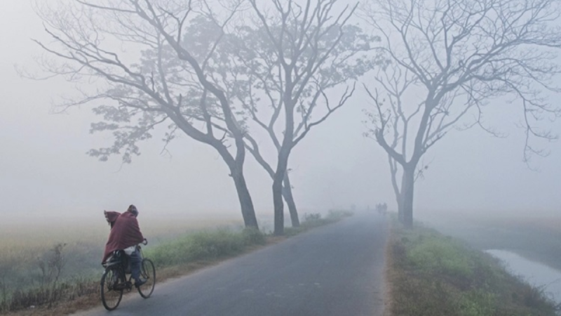 আসছে শৈত্যপ্রবাহ, কাঁপবে যেসব জেলা