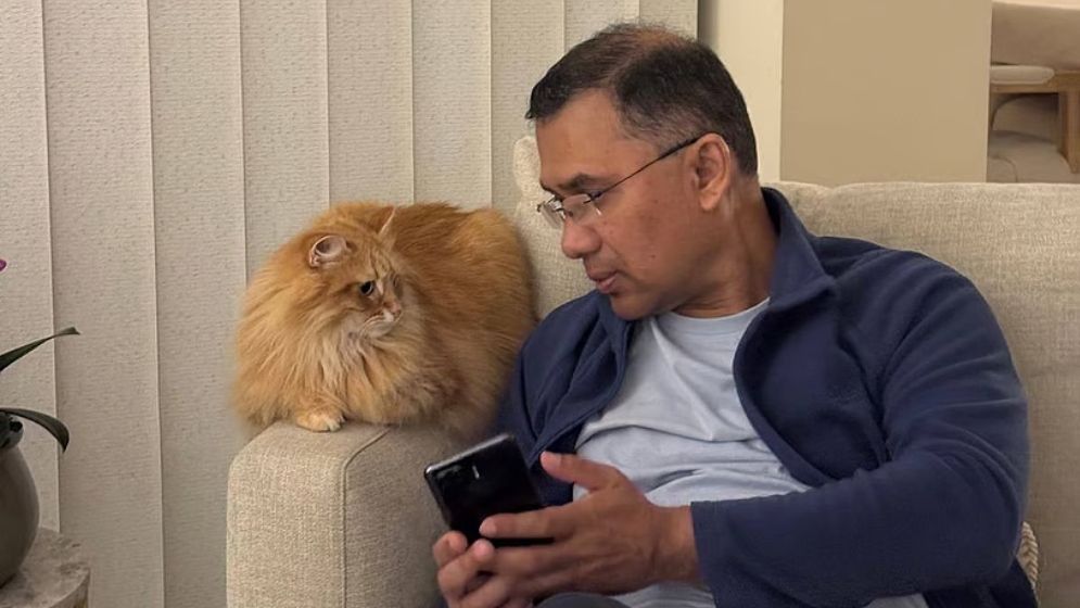 তারেক রহমানের পোষা বিড়াল ‘জেবু’ও আসছে বাংলাদেশে