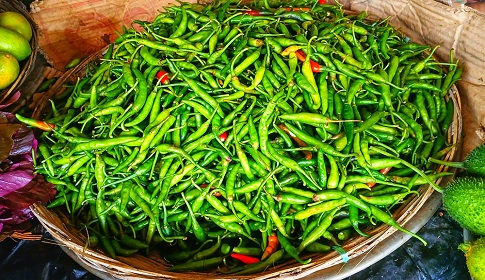 কাঁচা মরিচের কেজিতে কমেছে ১৩০ টাকা