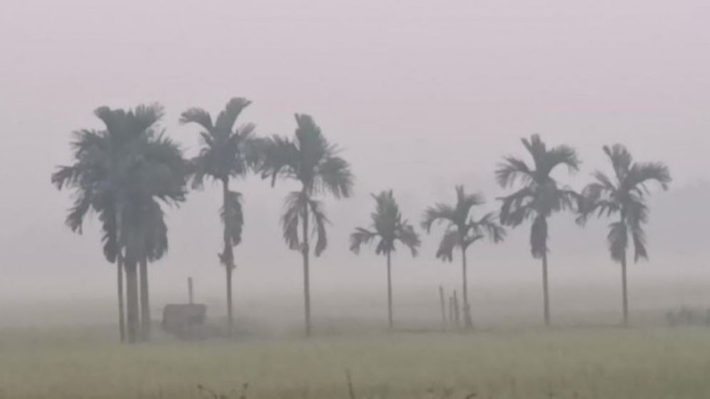আপাতত কমছে না শীতের প্রকোপ