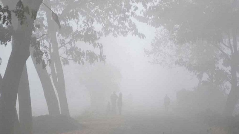 তিন জেলায় বইছে মৃদু শৈত্যপ্রবাহ, কতদিন থাকবে
