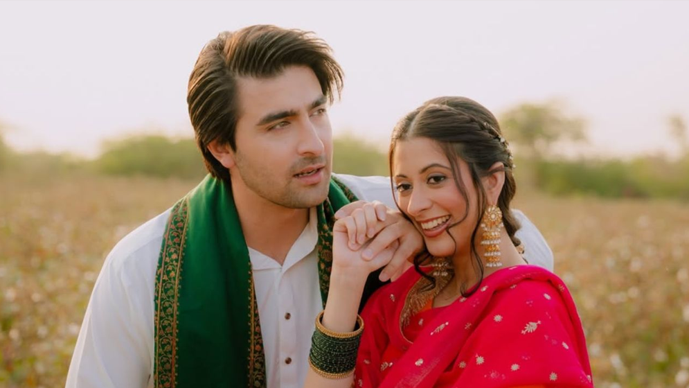 অবশেষে বিয়ে করলেন পাকিস্তানি তারকা শাহনাওয়াজ ও সাবিনা