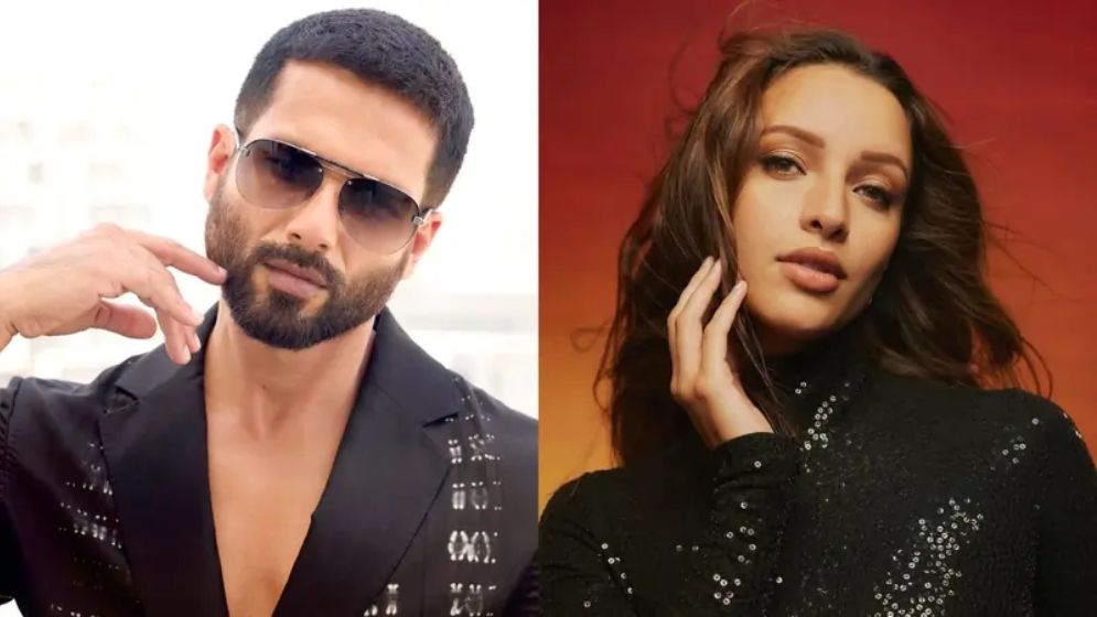 মুক্তির পরও আলোচনায় আসতে পারল না শাহিদ-তৃপ্তির ছবি