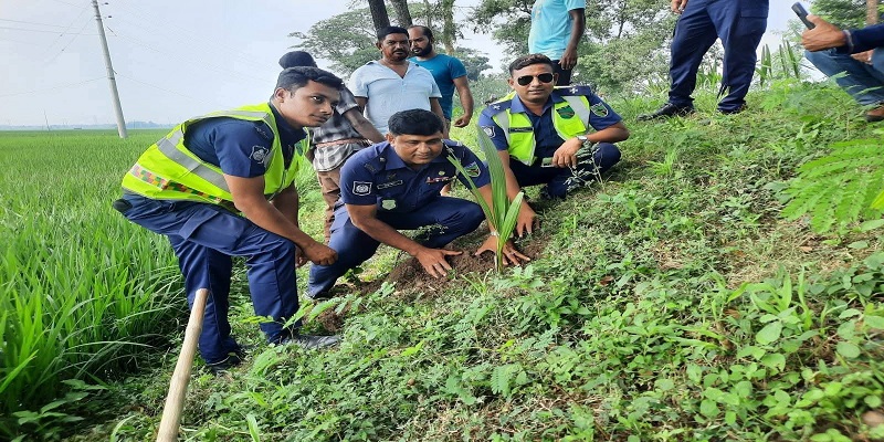 পরিবেশ রক্ষায় তাল গাছ রোপণ করলো ঝিনাইদহ হাইওয়ে পুলিশ
