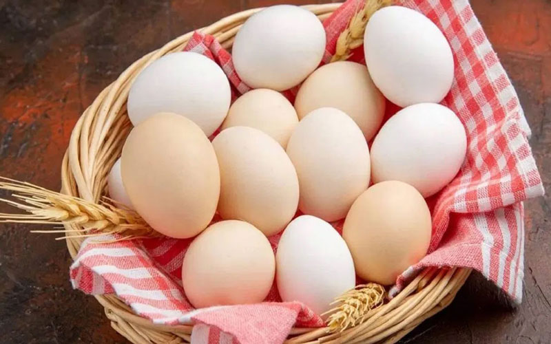 আজ বিশ্ব ডিম দিবসআজ বিশ্ব ডিম দিবস