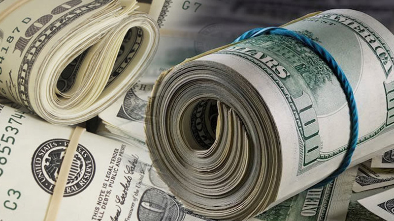 ২৩ দিনে রেমিট্যান্স এসেছে ২৮২ কোটি ডলার