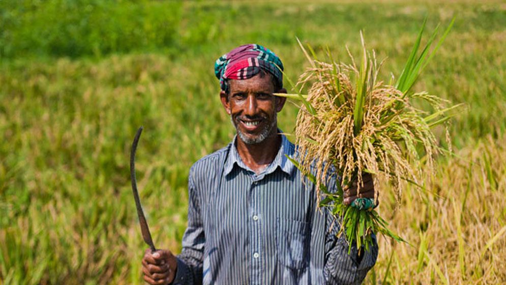 কৃষক ঋণ মওকুফে সরকারি বরাদ্দ ১,৫৬৭ কোটি টাকা