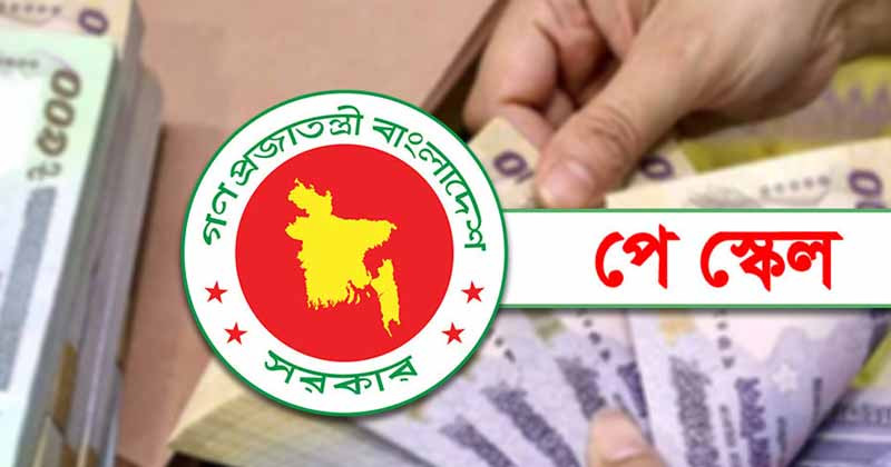 পে-স্কেল বাস্তবায়নে প্রধানমন্ত্রীর কাছে স্মারকলিপি পেশ