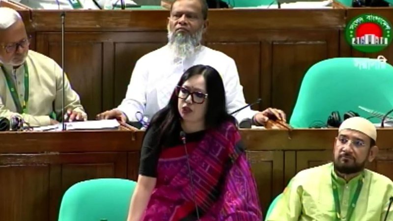 আমি ৩০০ সংসদ সদস্যের সামনে কথা বলছি, ৩০০ হামের রোগীর সামনে না