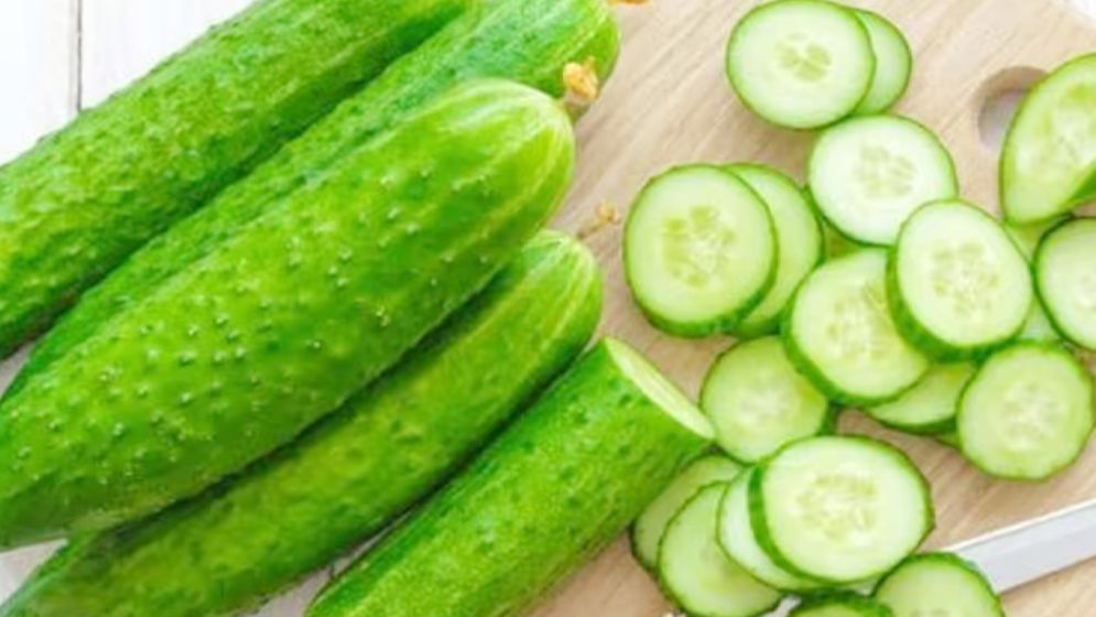 শসার পুষ্টিগুণ ও স্বাস্থ্য উপকারিতা সম্পর্কে জানুন