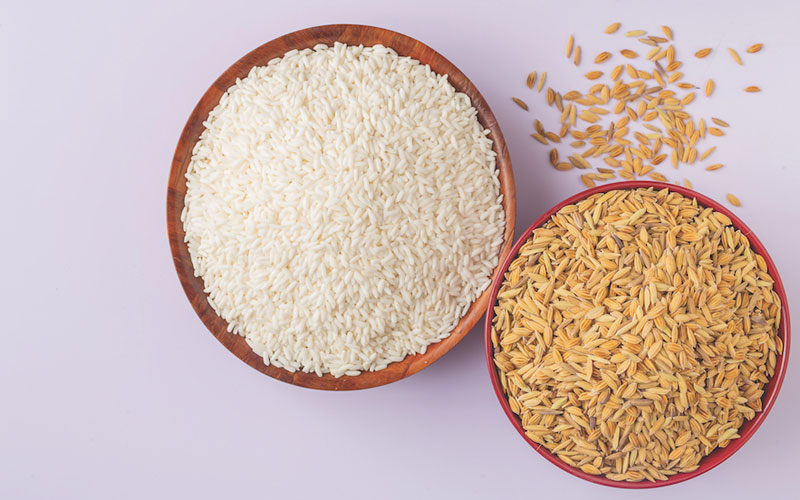 ধান চাল গমের ক্রয় মূল্য নির্ধারণ