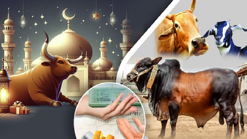ঋণগ্রস্ত ব্যক্তি কি কোরবানি দিতে পারবেন