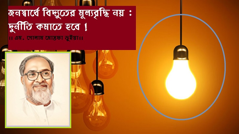 জনস্বার্থে বিদ্যুতের মূল্যবৃদ্ধি নয় : দুর্নীতি কমাতে হবে !