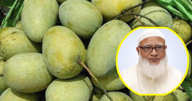 সংসদের সবাইকে ১০ কেজি করে আম উপহার দিলেন জামায়াত আমির
