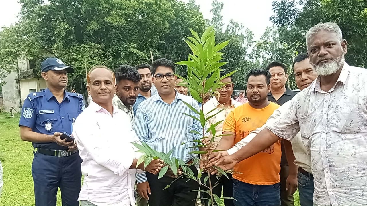 রুহিয়ায় বৃক্ষরোপণ কর্মসূচি পালিত