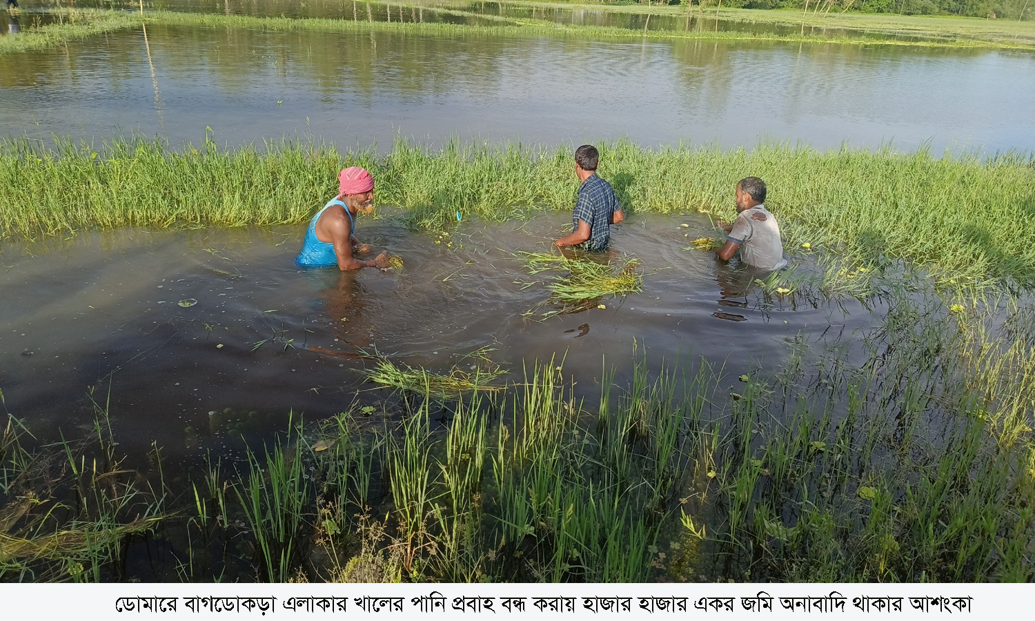 ডোমারে খালের পানি প্রবাহ বন্ধ করায় হাজার হাজার একর জমি অনাবাদি থাকার আশংকা
