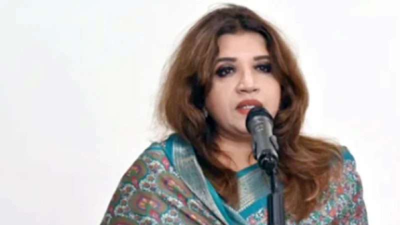হাসিনা ফিরলে আত্মসমর্পণ করে জেলে যেতে হবে: পররাষ্ট্র প্রতিমন্ত্রী