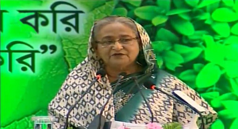 নিজের লাগানো গাছের একটি মরিচ খেলেও তাতে তৃপ্তি আসে