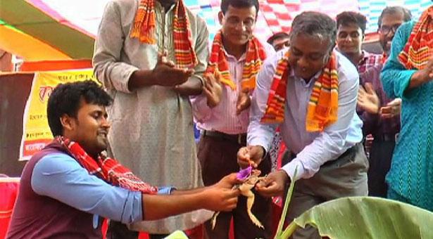বগুড়া আজিজুল হক কলেজ ক্যাম্পাসে ব্যাঙের বিয়ে !