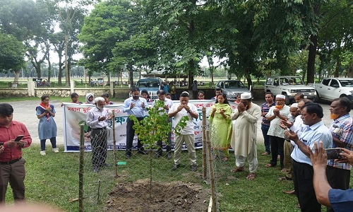 বৃক্ষ রোপন কর্মসূচী : জয়পুরহাটে ৪৮ হাজার ৪শ চারা রোপন