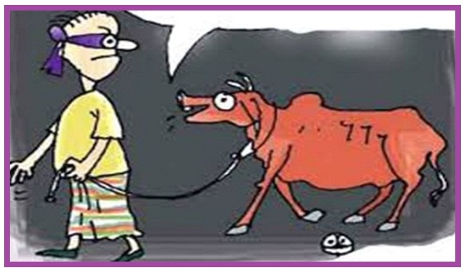 ইউপি সদস্যের বাড়ি থেকে ৩টি চোরাই গরু উদ্ধার !