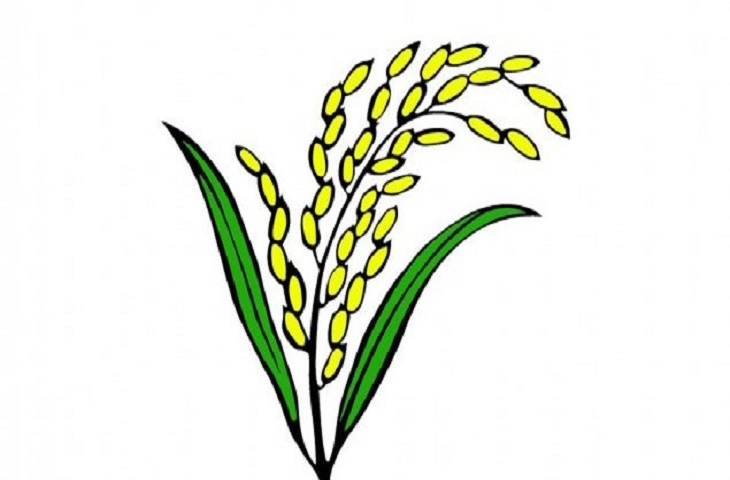 ধানের শীষে নির্বাচন করবে ৮ দল