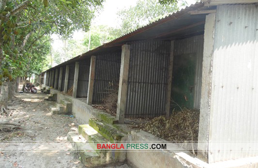 লালমনিরহাটে সরকারের আবাসন প্রকল্পের ঘরে কেউ থাকতে চায় না