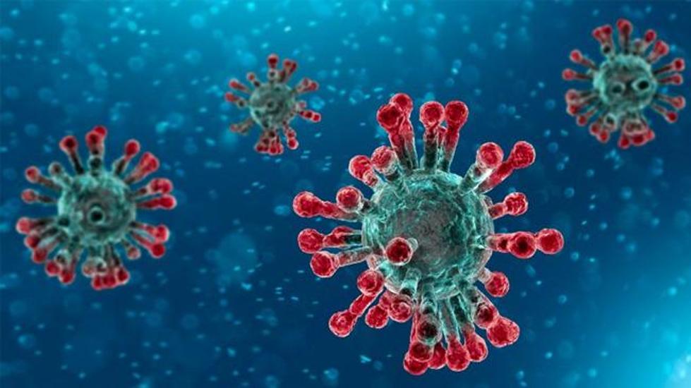 ঝিনাইদহে সাবেক সংসদ সদস্য-চিকিৎসকসহ ৭ জন করোনায় আক্রান্ত