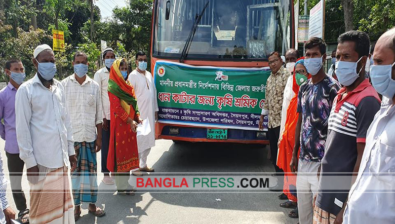 সৈয়দপুরের ৪০ শ্রমিক সান্তাহারে গেলো ধান কাটতে