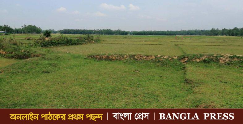 শেরপু‌রে পানির অভাবে শত শত একর জমিতে বোরো চাষাবাদ হচ্ছে না