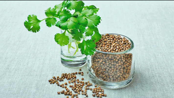 ২ ডিসেম্বর মহাকাশে যাচ্ছে বাংলাদেশের ধনে বীজ