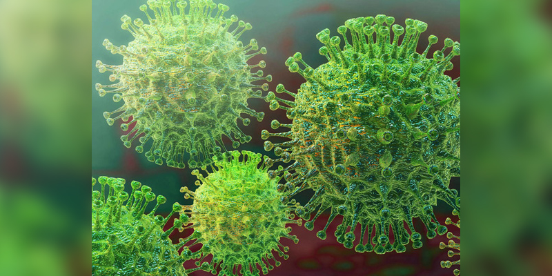 এই প্রথম করোনায় মৃত্যুশূন্য দেশ